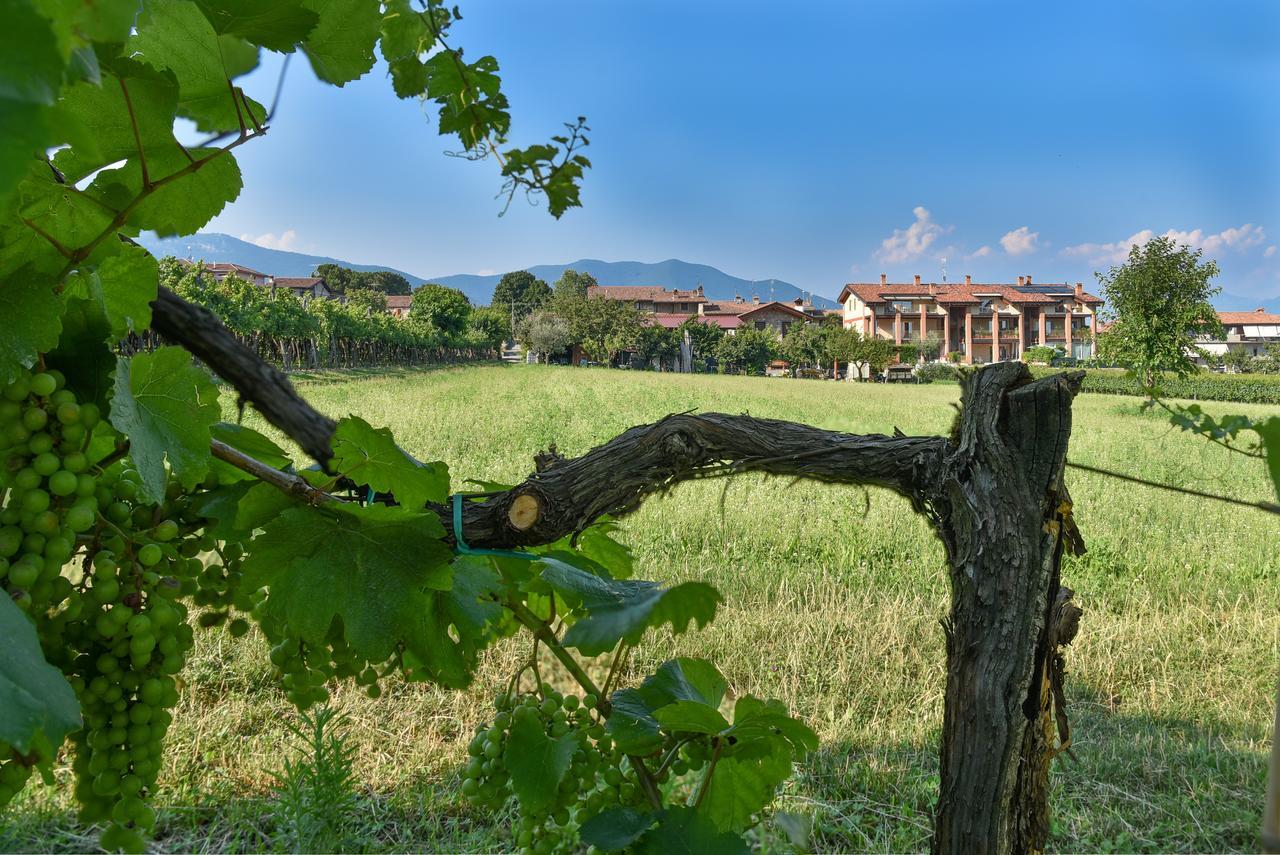 La Terrazza Sulle Vigne B&B Corte Franca Extérieur photo